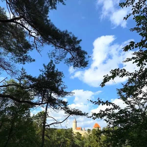 Penzion Milča - primo pod hradem Kokořín